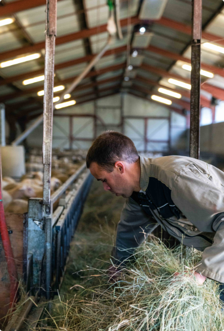 Homme au travail